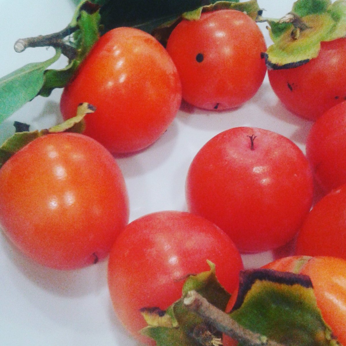 javierlozar's tweet photo. El otoño y sus frutos , próximo helado de caquies del Mas de Pere #ondacity #productolocal #cocinacasera https://t.co/CQtg5qluL9