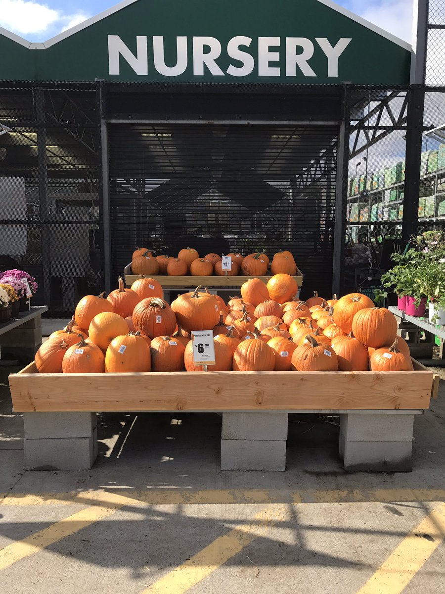 susan_plog's tweet photo. Everyone's #PumpkinPicking @HomeDepot @dangracehd #6178Fishkill @KurtWeissGH https://t.co/XfJcnWmXaQ