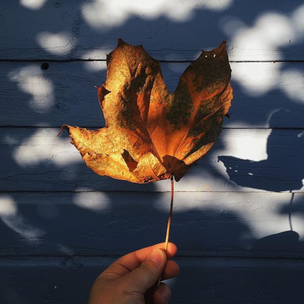 It feels like we haven't had an autumn this year, does anyone else agree that our seasons in the U.K. just seem to… ift.tt/2kOwRvy