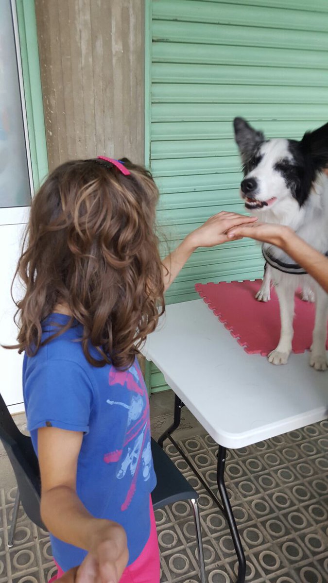 La interacció amb animals afavoreix la comunicació i la relació amb l'entorn dels afectats per TEA. #Dispieraactivitatsambànima