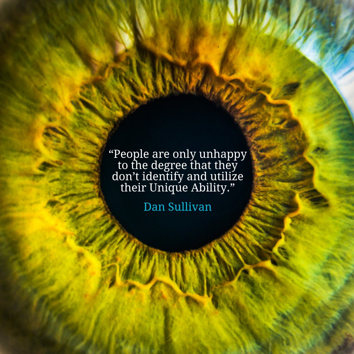 Strategic Coach tweet media