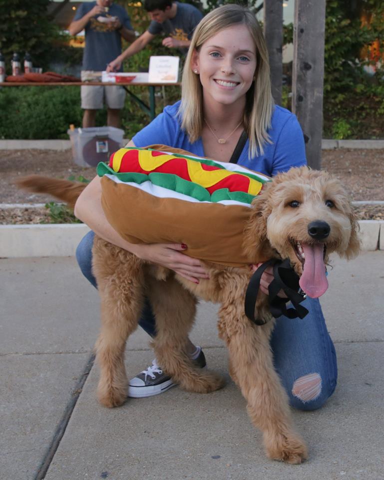 urbanchestnut's tweet photo. Hot dog! Barktoberfest is this Tuesday at the Midtown Brewery & Biergarten! Grab your tix πΆ https://t.co/Sq8dVCdT3Z https://t.co/STDK8In9jh