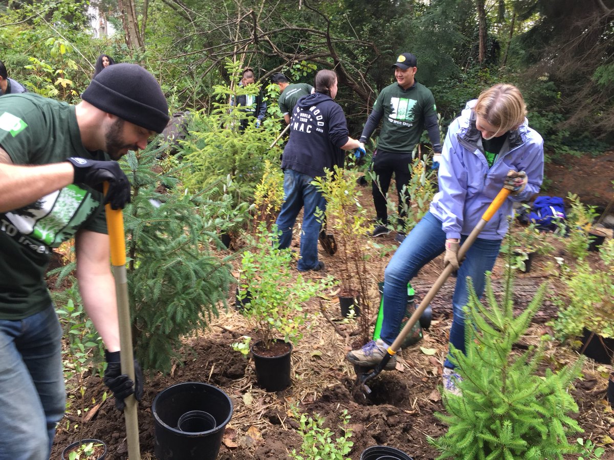 stevoknevodrums's tweet photo. Hoy Creek planting over 600 trees and shrubs and giving back to our own backyard #coquitlam #TDTreeDays #FEF https://t.co/VFbdocwBLn