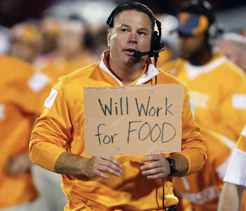 Andy Davis tweet media