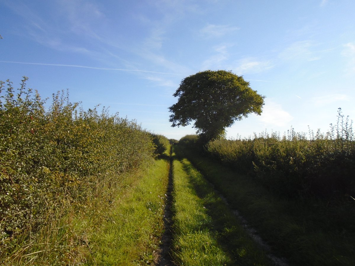 Dear Bloggers, have a read ... Guest Bloggers irunoffroad.wordpress.com/2017/10/14/gue… <a href="/Hantsbloggers/">Hampshire bloggers</a> <a href="/UKBlogAwards/">UK Blog Awards</a> <a href="/UKBlog_RT/">UK Blogger RT</a> <a href="/LinkedFitness_/">Linked Fitness</a>