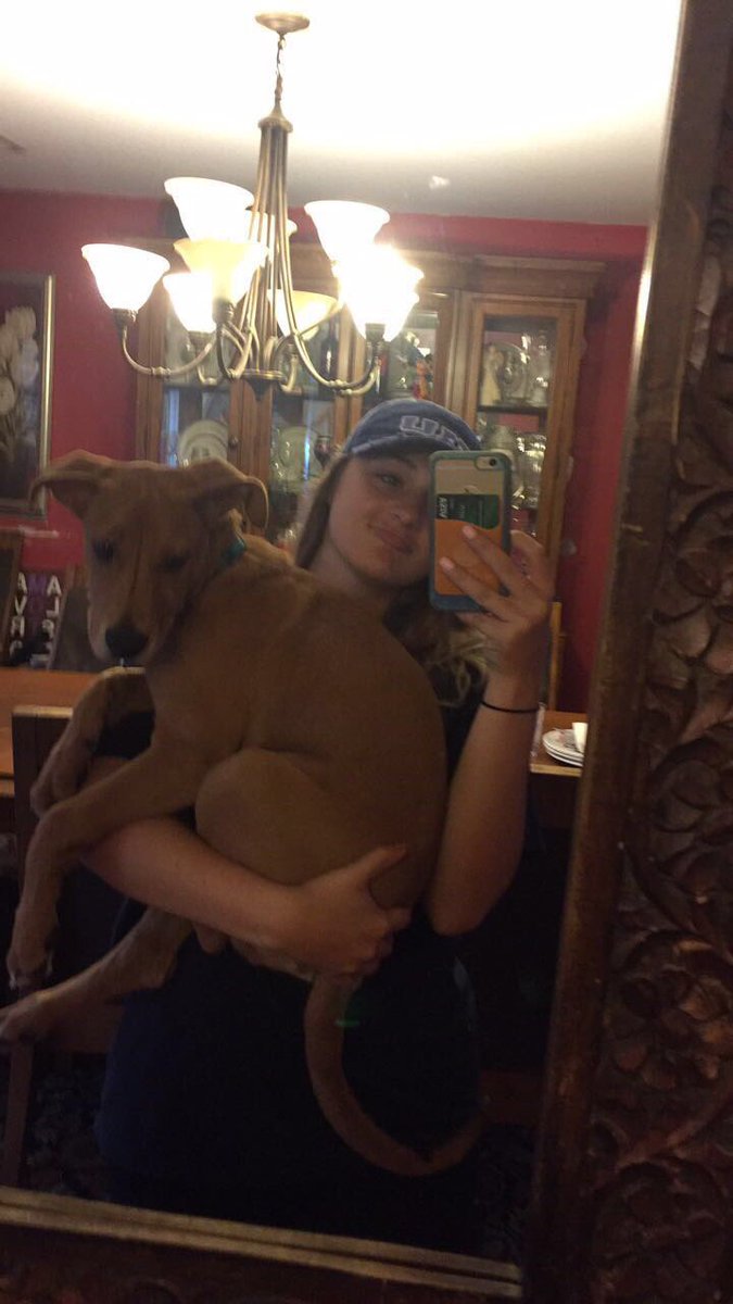 lexxmoleyy's tweet photo. Happy two month gotcha day to my baby boyy💗#StopGettingSoBig https://t.co/OVUGBU6gh8
