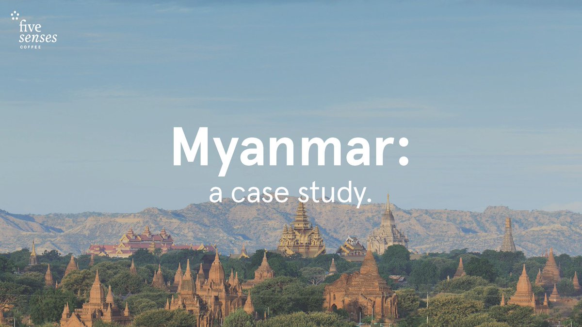 5Senses's tweet photo. #CuratedCupping - Myanmar: a case study. 

Event Details: https://t.co/ffTgz8ZpYa https://t.co/wDo9oxrWiV