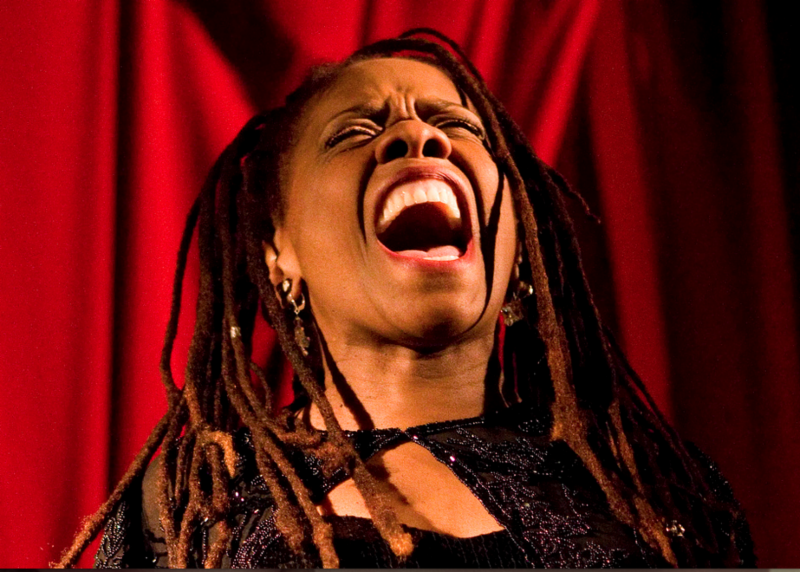 FirstNightEV's tweet image. Here's what to do tonight: Catherine Russell at the Jazz Showcase. Tickets are going fast! conta.cc/2zdEqPA