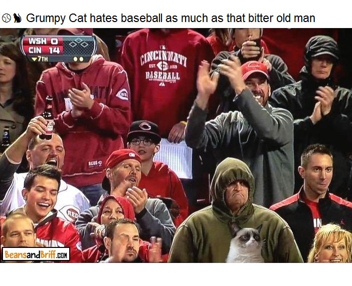 BeansandBriff's tweet photo. https://t.co/mqXFCxOHHm β βΎπ#GrumpyCat hates #Baseball πβΎ#BeansAndBriff #RemixTheInternet #memes #dankmemes #comedy #sports #reds #nationals https://t.co/xKY9pZ9nR9