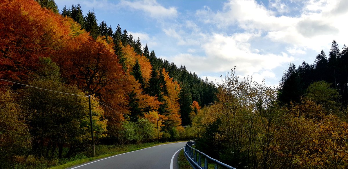 HansenAdam's tweet photo. Ooooohhh I love training in Czech in the autumn😁 https://t.co/oyNng9Z3sZ