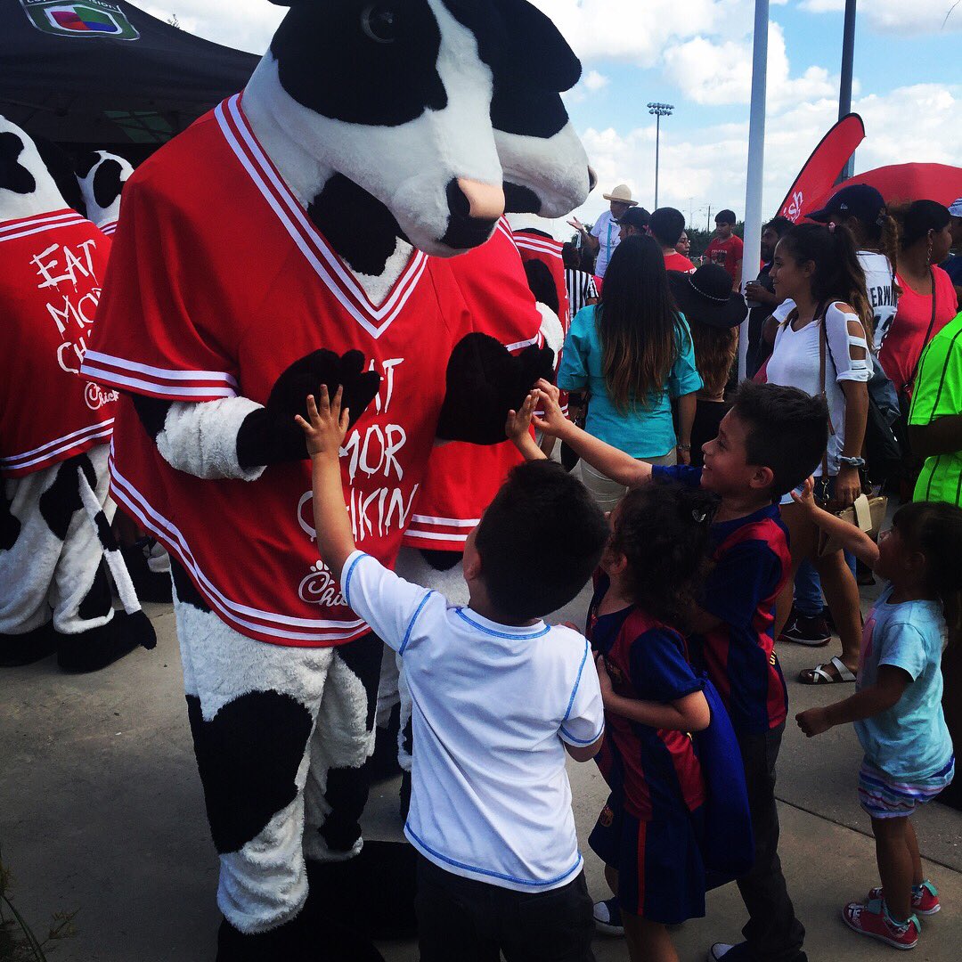 hcphtx's tweet photo. With #HoustonDynamos mascot Diesel π¦ at #CopaUnivision2017 this year! Making sure we stay #Houstonhealthy because #Healthmatters! #HCPHTX https://t.co/bUyiOAd0Mm