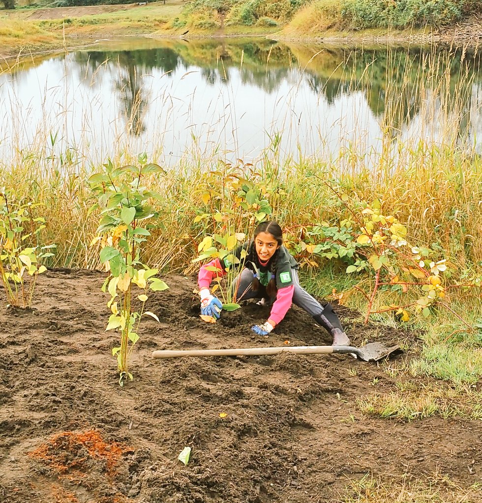 GaryAulakh_TD's tweet photo. Another successful TDTree Days with our friends @LEPS_Langley &amp; our amazing volunteers...400+ Trees planted! 🙌
#TDTreeDays #TDCommonGround https://t.co/KswZ6CsQFi