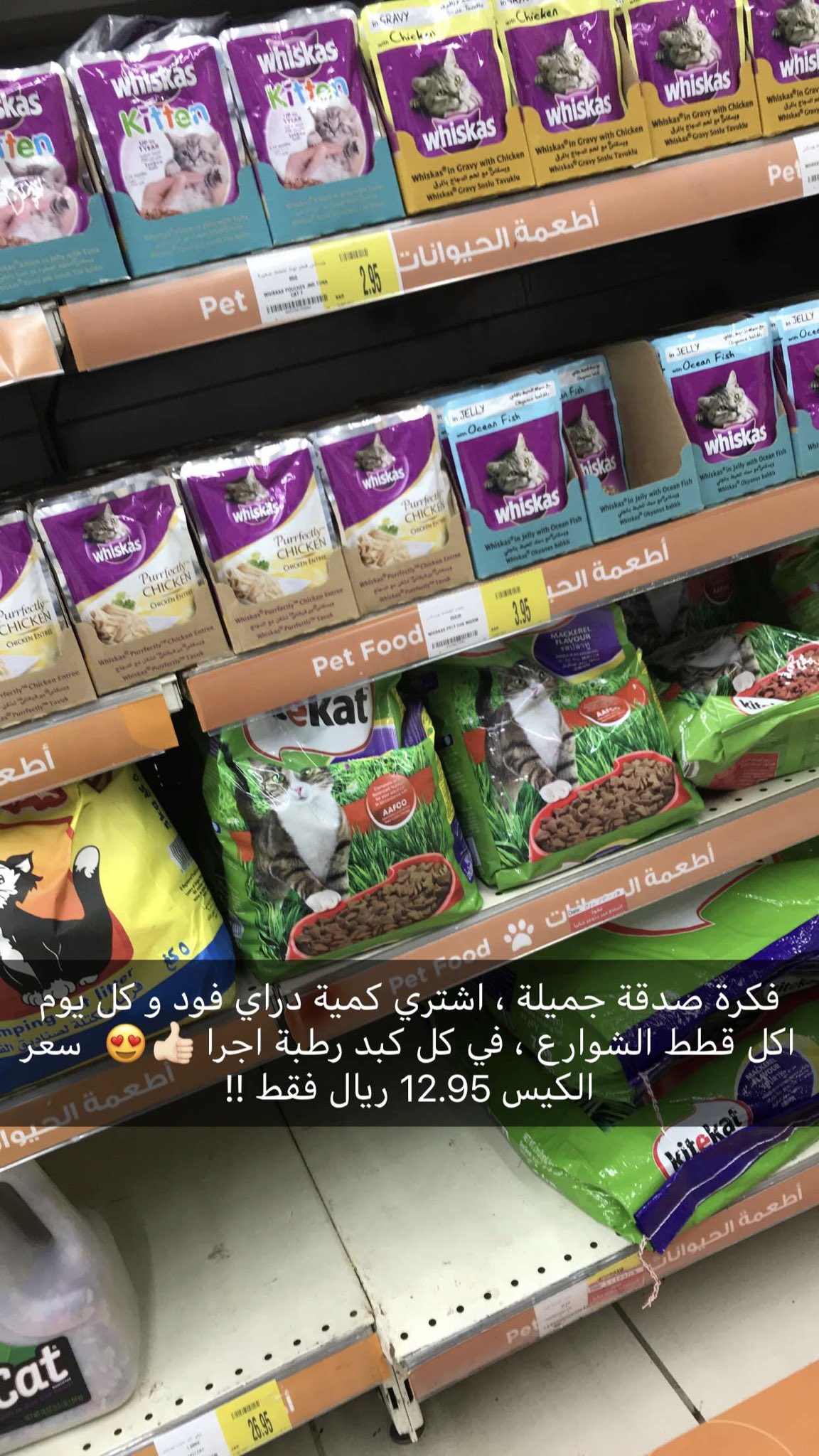 الرسام راكان كردي A Twitter فكرة صدقة قال رسول الله صل الله عليه وسلم في كل كبد رطبة اجرا الطعام متوفر في بنده وف ي الدانوب ريتويت