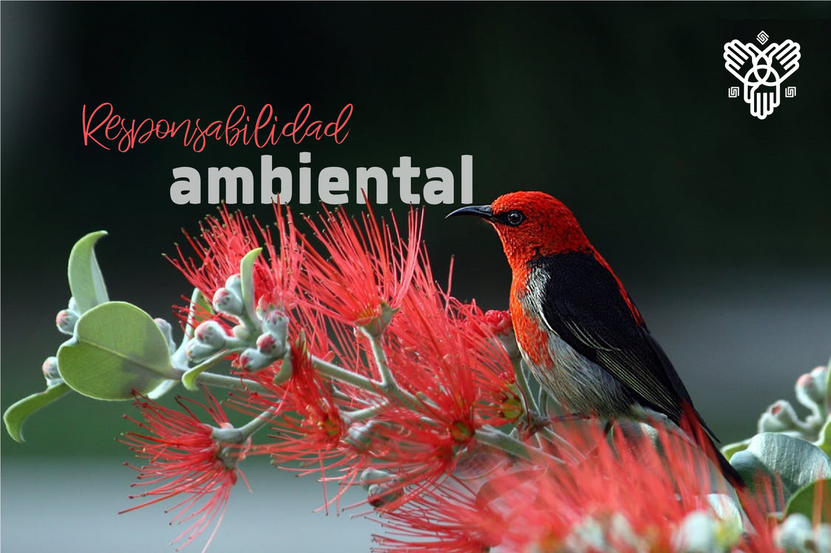 FundacionAFA's tweet photo. Compártenos qué medidas tomas para cuidar del medio ambiente. ¡Por un entorno digno para todos! 💙 https://t.co/8z8nqwxz8w