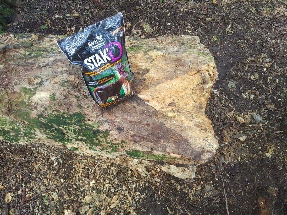 AnglerHunterTV's tweet photo. I started this mineral stump in April with the new #StakD by @RackStackerGuy1 and by Sept it was getting chewed hard by several whitetails including this young fork horn https://t.co/t2eKZb8iiR
