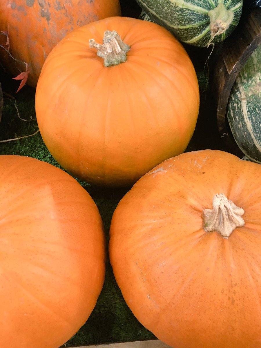 BambinoBambina's tweet photo. @BentsGardenHome #Autumn #vedgetables #pumpkin #orange ๐๐๐ https://t.co/JeXv87z7ys