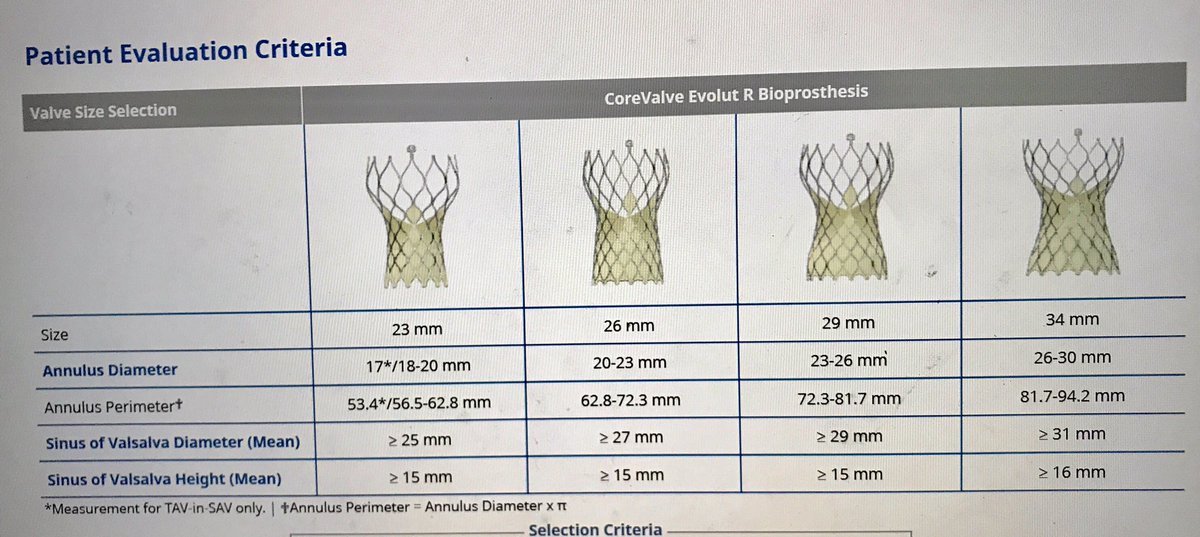 Evolut R Sizing Chart