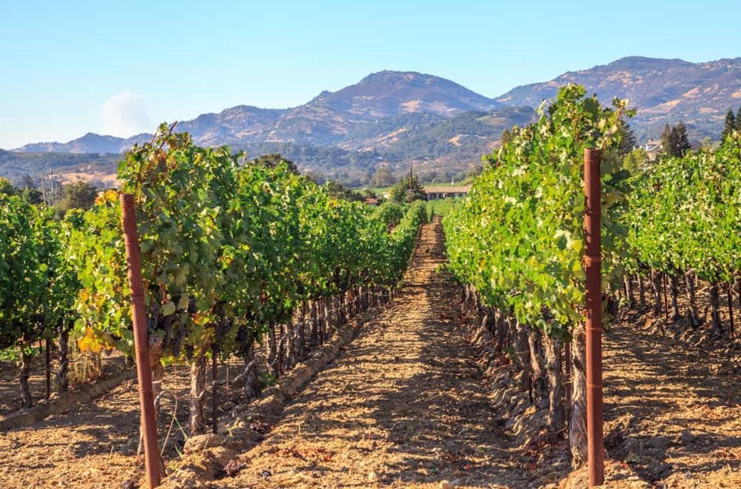 winetastingpath's tweet photo. It feels good to be lost in the right direction 👉🏼 #wine #winetasting #winery #napa #napavalley #sanfrancisco #sf #california #tasting https://t.co/jiXgBHOcx7