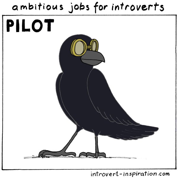 IntrovertZayts's tweet image. Being a pilot is a prestigious career option for ambitious introverts. Oh, flying alone in the skies! #introvert