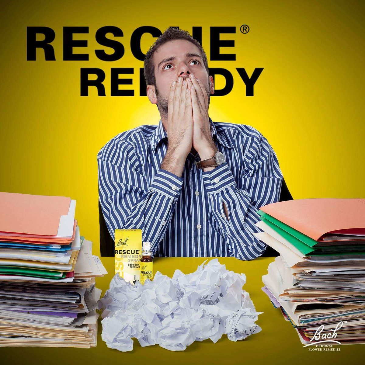 RescueRemedyMex's tweet photo. ¿Estresado por la tesis? ¡Tómate un Rescue y consigue ese título! #FelizSabado #graduacion #estres https://t.co/l25Fg1evCS