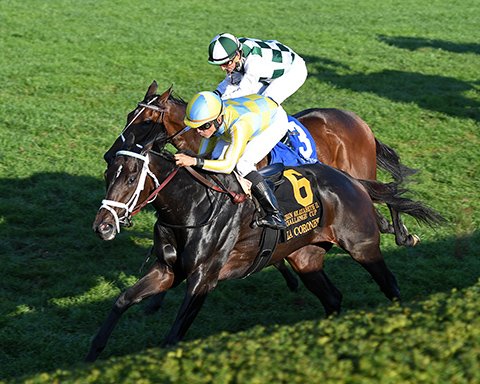 BH_AEberhardt's tweet photo. #LaCoronel with Jose Lezcano wire to wire in G1 #QEIIChallenge @Keenelandracing for #Oxleys #TeamCasse https://t.co/AT2wfU22Sw