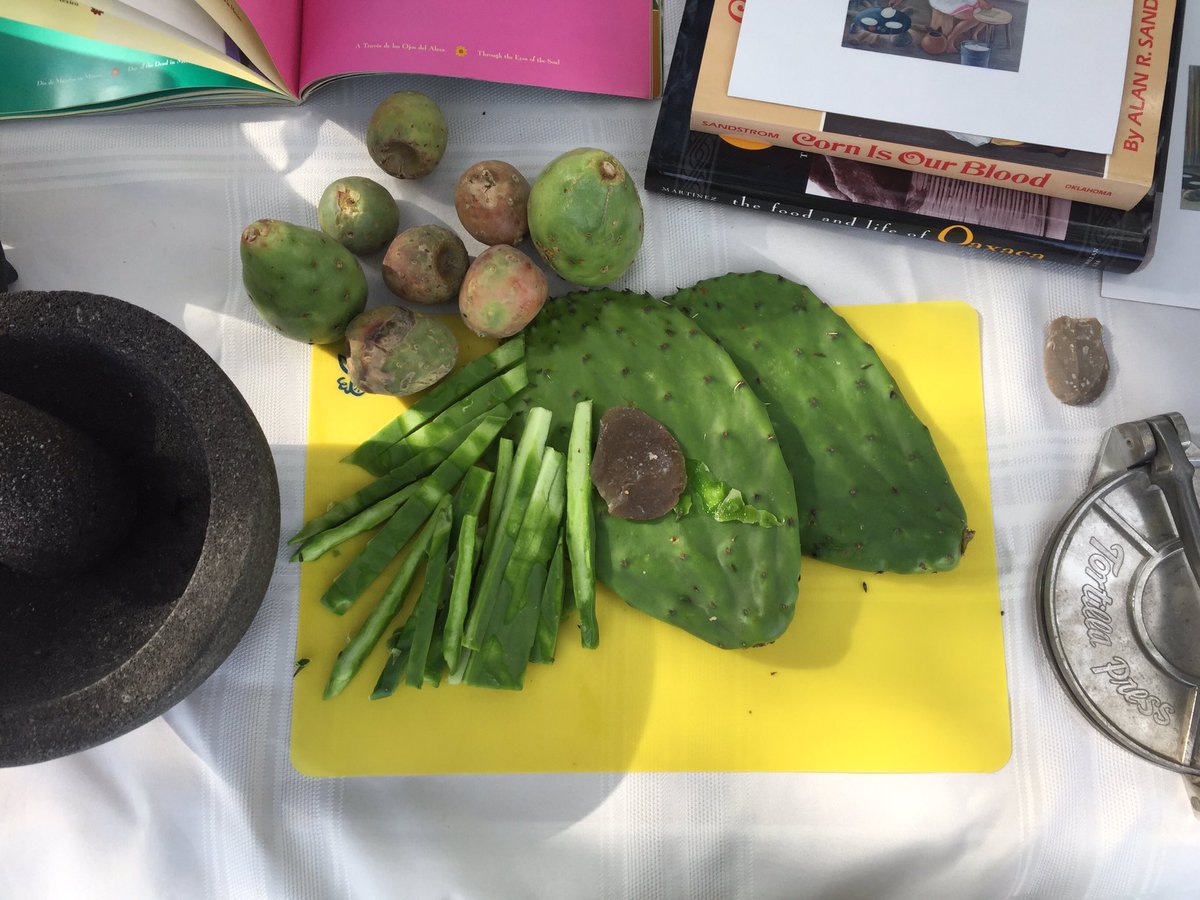 NadyaProciuk's tweet photo. Slicing up nopal/pricklypear cactus at the #TexasArcheologyMonth Fair at TARL today with freshly #knapped flakes #mmmesoamericanfoodways https://t.co/HS94IWo946