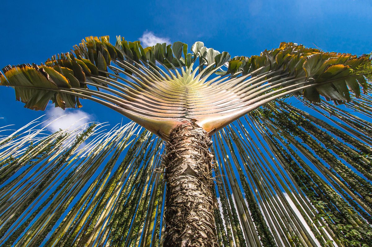 The incredible power of #nature can leave us speachless 🌿🙏
#Glamping