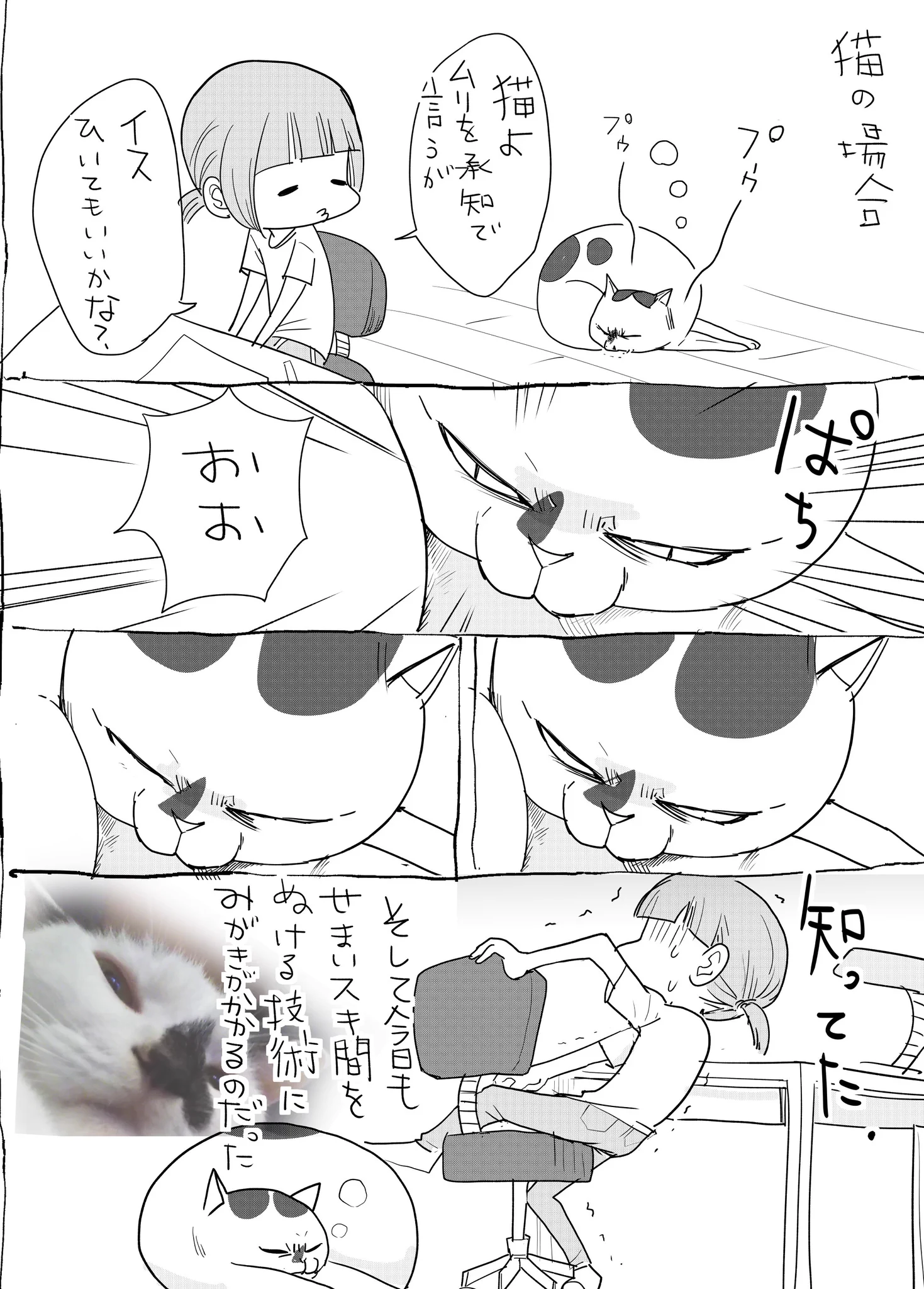 個性がよくわかる！！犬猫飼いあるある、猫の圧が強いwww