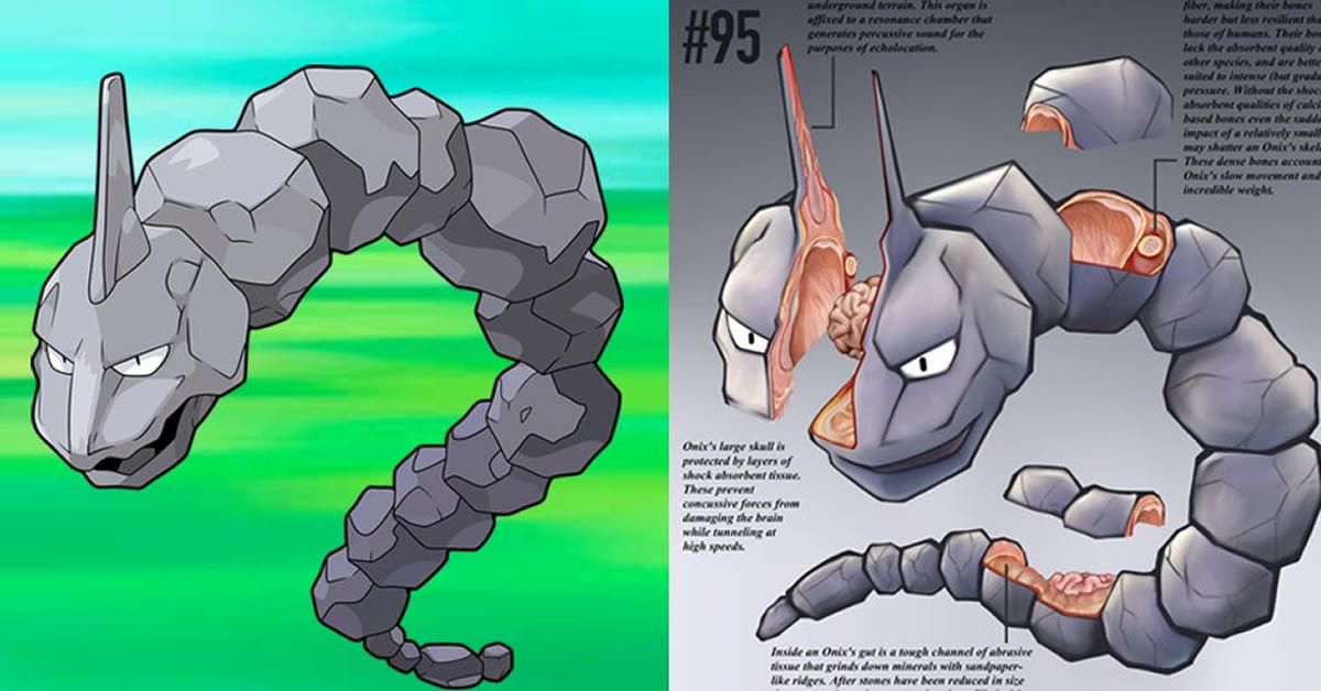 9GAG ❤️ Memeland on X: Imagine Pokemon With Realistic Anatomy    / X