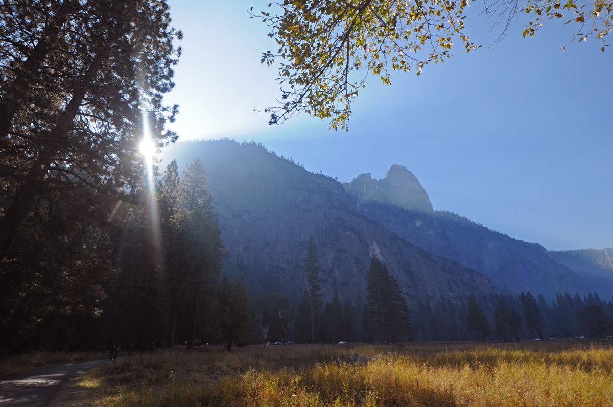 Yosemite National Park tweet media