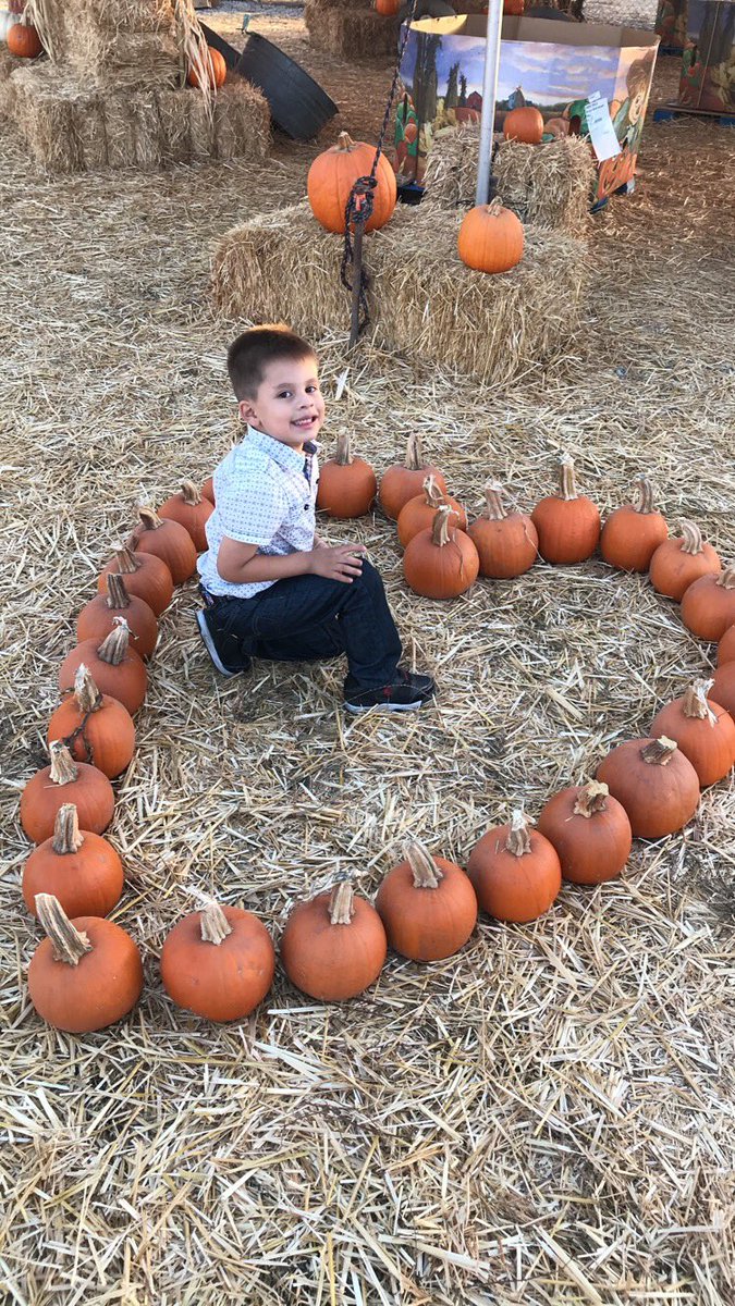 haleyy_mariee14's tweet photo. My baby boy, you’re growing up too fast 😭♥️♥️♥️ #goingon4 #nov5th https://t.co/bSFuenCHvP