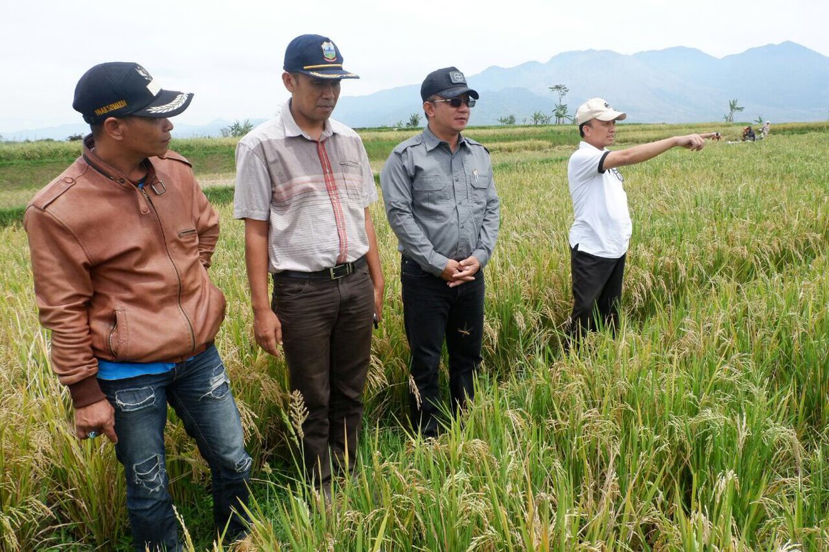 taufikmadjid71's tweet photo. Saudaraku, Mari qta fokus. Jgn jumawa &amp; trlena dgn pmberianNya. Brsma kerja membangun Desa qta. Kerja mengabdi Desa. https://t.co/ER5xJrKquI