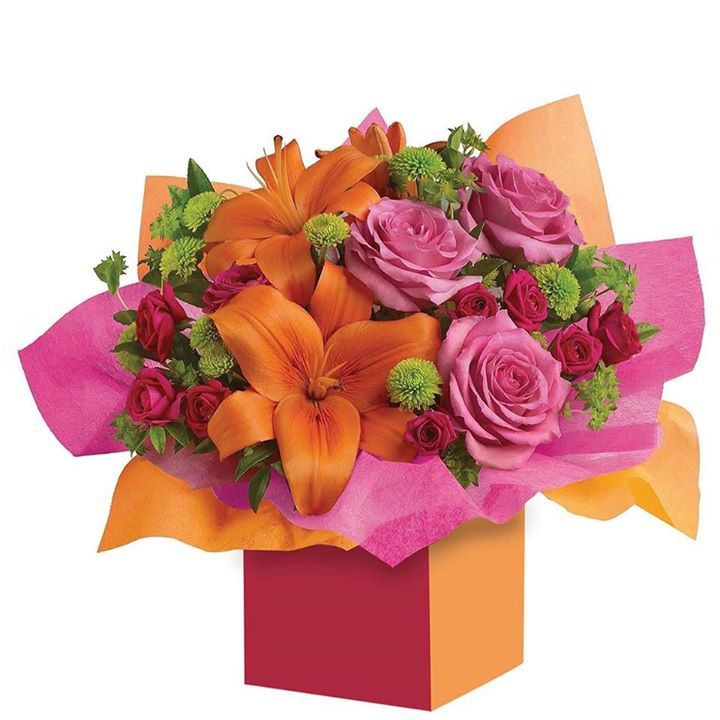 floristsnz's tweet photo. This is the perfect beauty. Colourful roses, fun #flowers all wrapped up to 'Make a Wish' https://t.co/fhl4hr3DxJ https://t.co/AOj4UWoYFQ