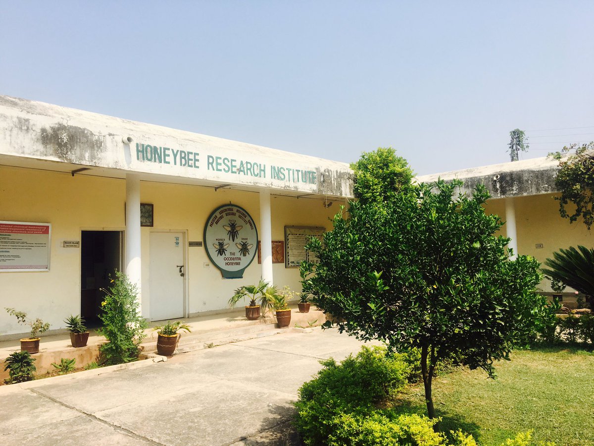 Khaledtalpur's tweet photo. Honey Bee Research Institute #HBRI #Islamabad #Pakistan @_Entomophily @CarolinaHoneybe @EvaCraneTrust @apis_donau @FAOnews @UNDP https://t.co/V7YipM5pxP