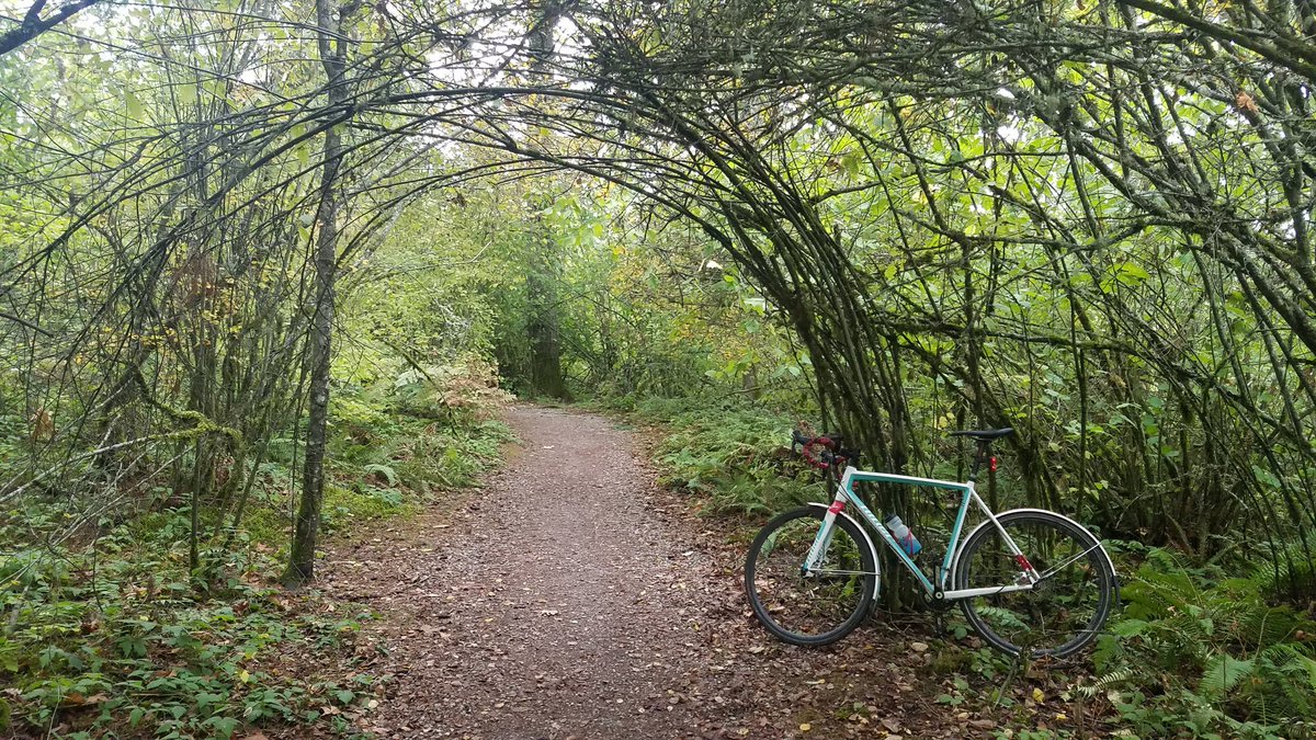 LouieBertJoseph's tweet photo. #NinerRLT
#bellinghamwa 
#whatcomfallspark https://t.co/Fdv88IbzLs