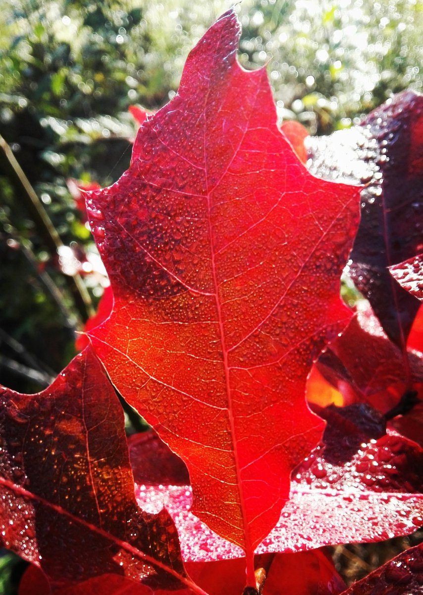 Allen einen entspannten Sonntag