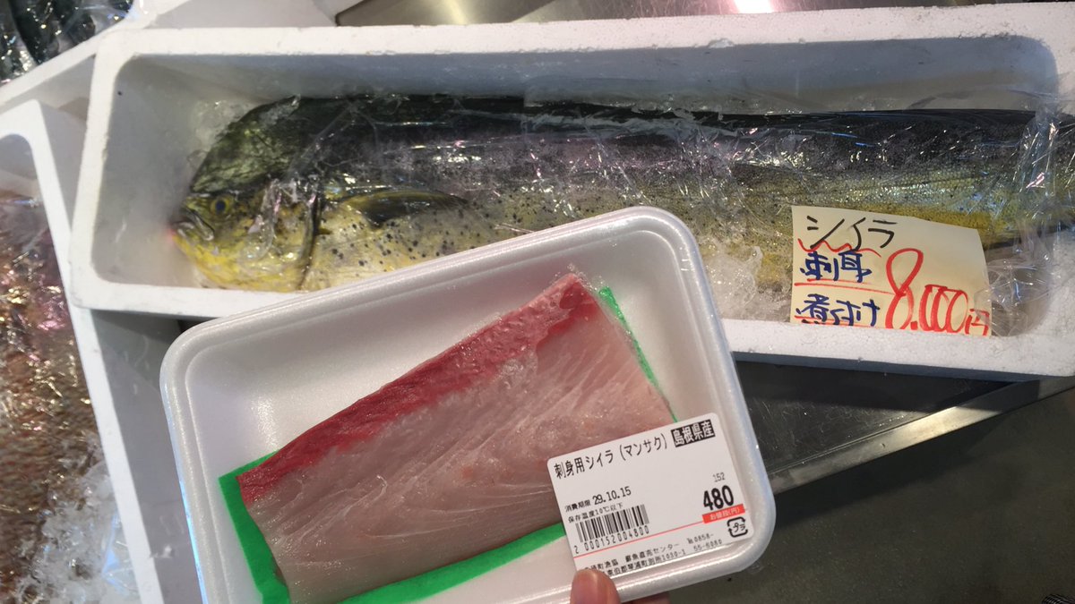 ユニークシイラ 刺身 最高の花の画像