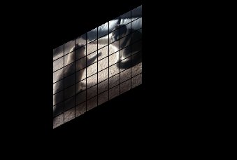 Seaside Art Gallery tweet media