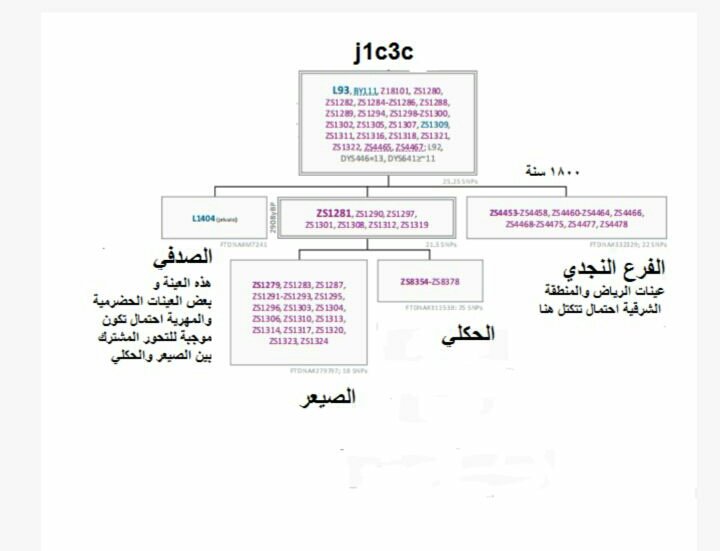علم الجين DAN tweet media