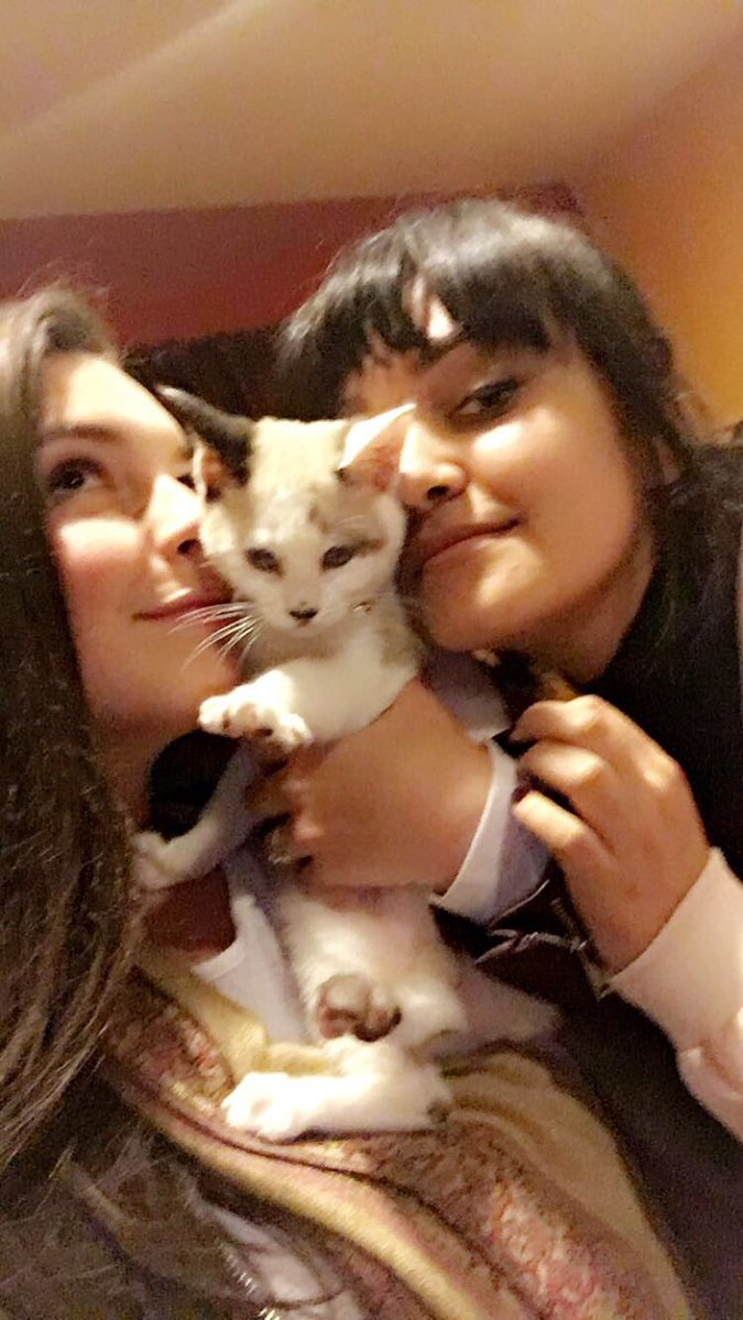 Isabella Gomez tweet media