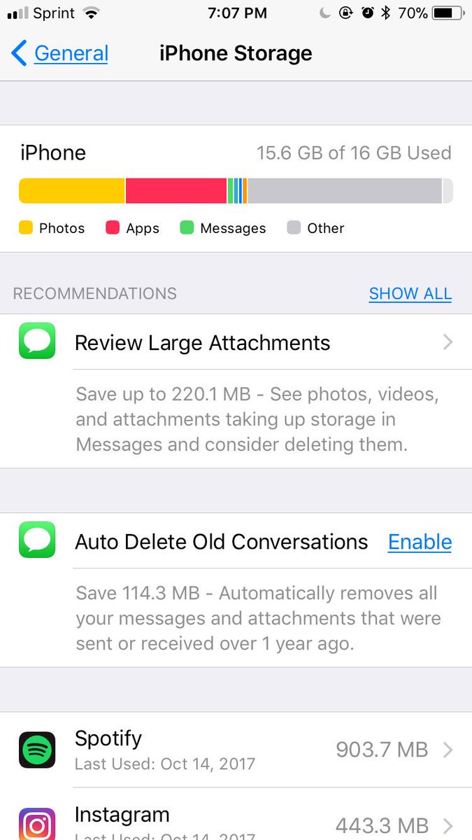 AlaynaJoy24's tweet image. Okay iPhone fanatics, what is this “other” business in my storage? Cat memes? Hidden cryptic messages from the government? #NeedMoreStorage