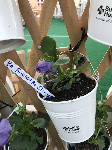 SutterHealth's tweet photo. Beautiful messages of hope and inspiration at our Garden of Hope at Avaya Stadium. #SVLightTheNight #FightBloodCancer ✨ https://t.co/CLzbCfCdnm
