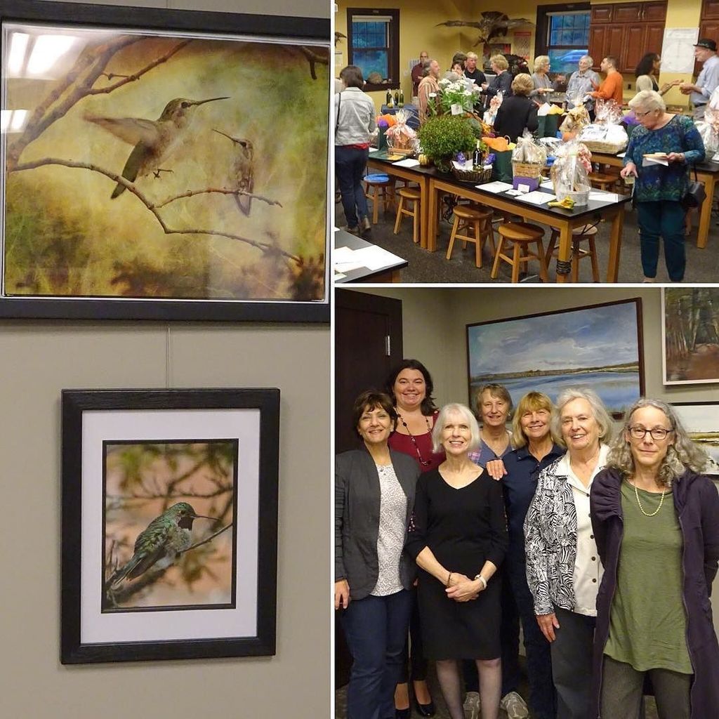 Artists’ reception and Friends of #Wertheim fundraiser tonight. Great display of art by several female #artists fr… ift.tt/2yl5Lzc