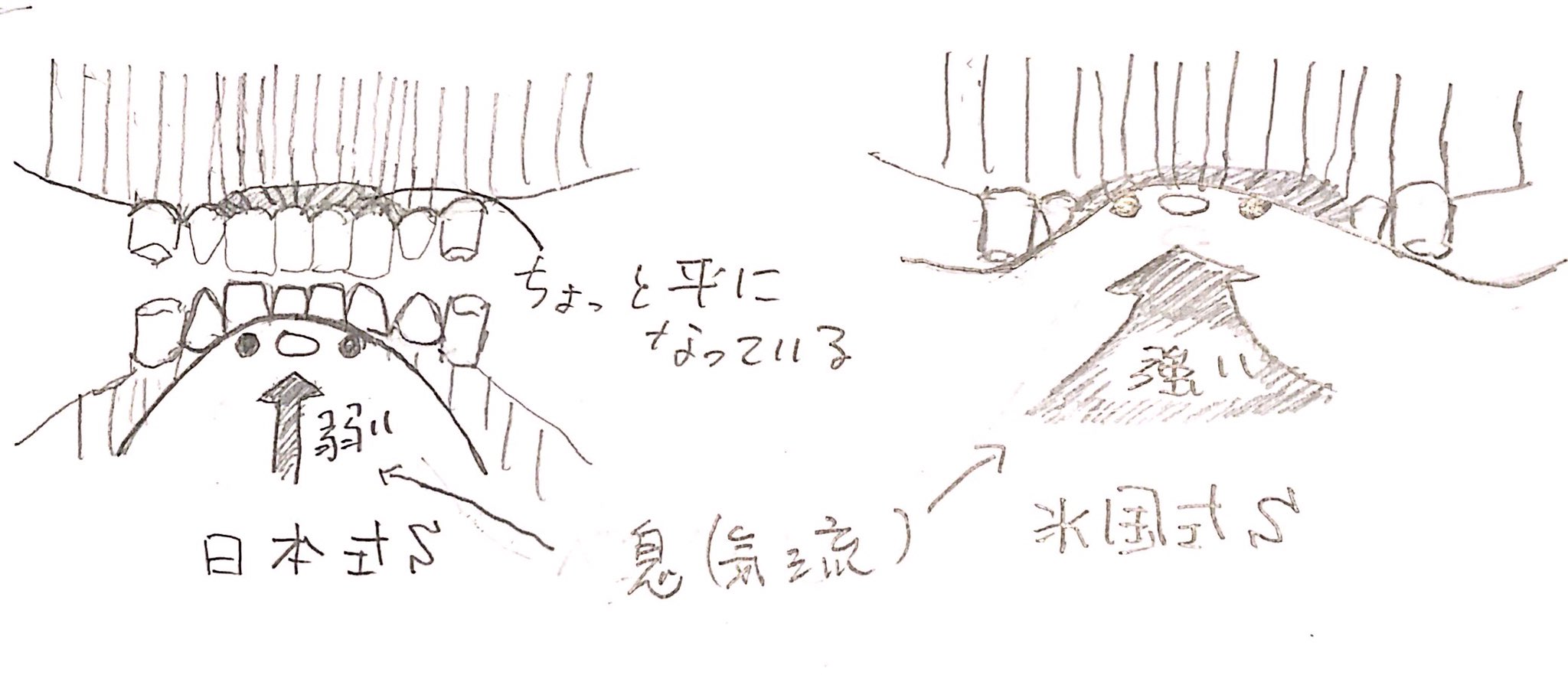 英語の発音訓練のかんどころ1 基礎編 Twitter