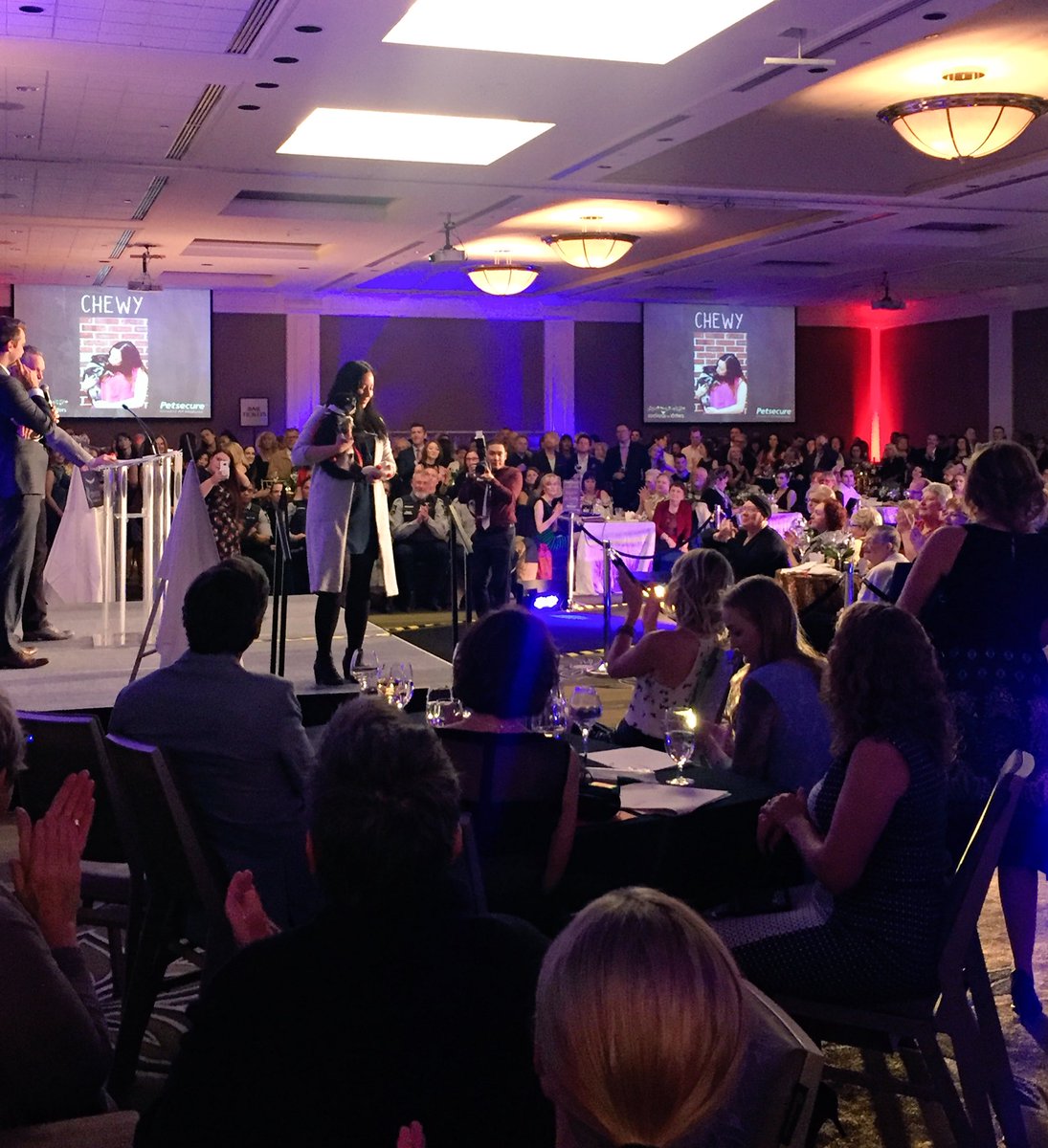 AllySeeney's tweet photo. Packed house for @CalgaryHumane Society's Cocktails for Critters gala! Nice to see so many of #yyc's finest supporting this amazing event https://t.co/SrgJjBgvOW