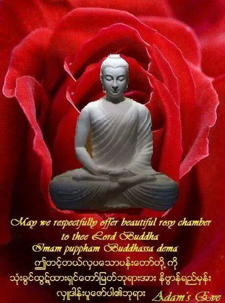 ကမာၻသူ/ သား မ်ားအားလံုး 
ေဒါသ ေလာဘ ေမာဟ မီးမ်ားျငိမ္းၾကပါေစ