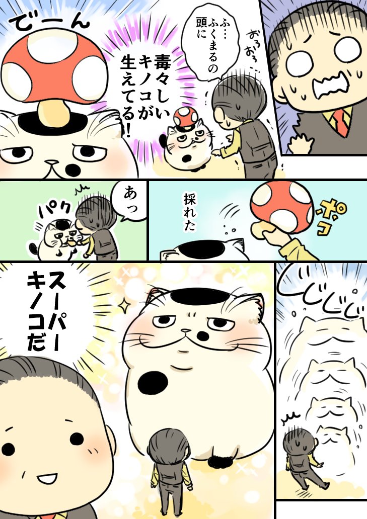桜井海 おじ猫５巻 発売中 Twitterissa 10月15日はキノコの日 イラストを描くはずが謎の漫画が完成しました 笑 きのこの日 キノコの日