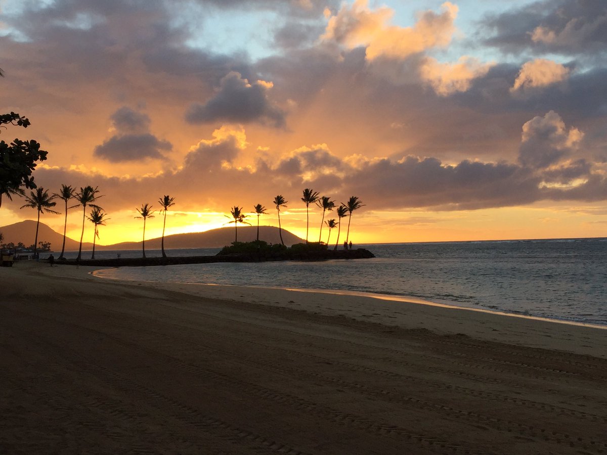 Training camp in Hawaii.