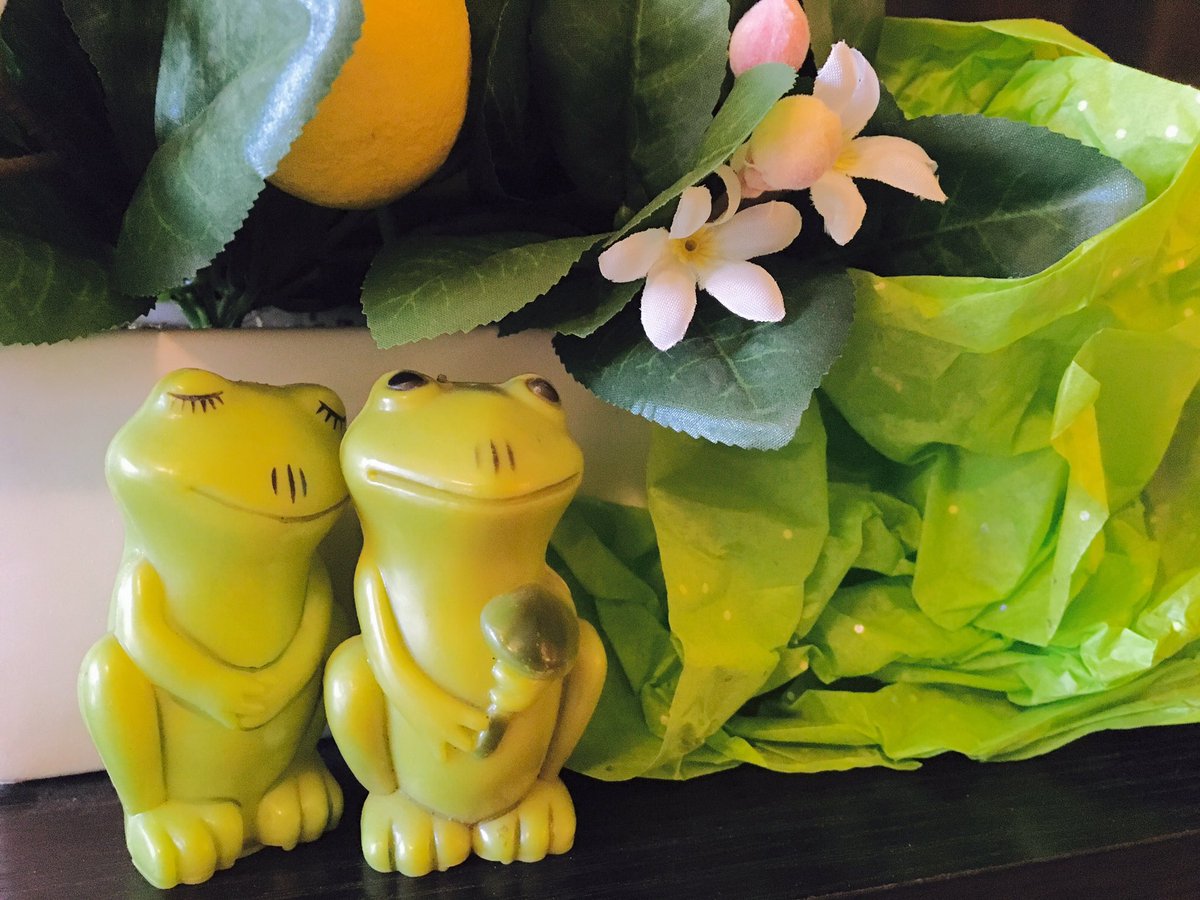 starlingeyed's tweet photo. When I was 11 I told my gramma a story about frogs. She's never forgotten so I got her these. She loved them. #myfirstfan https://t.co/cD7aqd2iO9