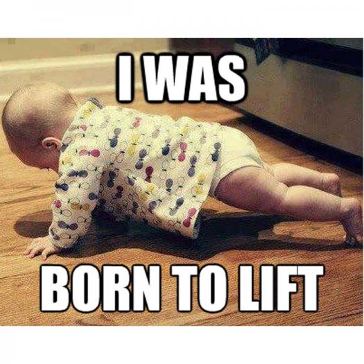 Sx2_studio's tweet photo. #workoutmotivation, #workoutfitness, #BORNtoLIFT, #tTreatYourbodyRight, #ShapeYourImage, #SweatX2Studio, #SX2_studio, #Alhambra,#PrivateGym https://t.co/BDnil8i1rN
